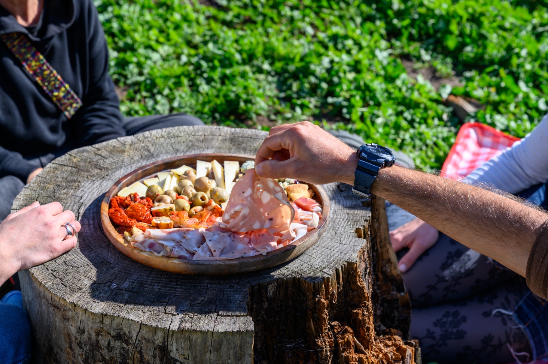Wooden platter with Italian cheese, salumi and olives on a tree stump